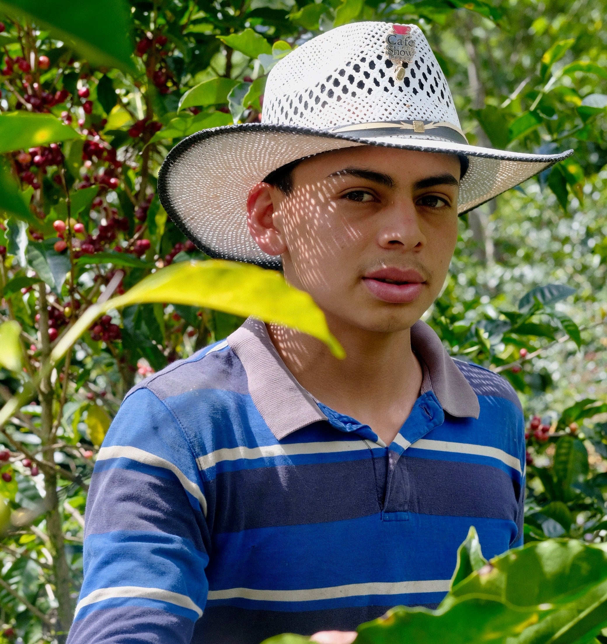 A man wearing a white woven hat and a blue striped polo shirt stands in a coffee farm.