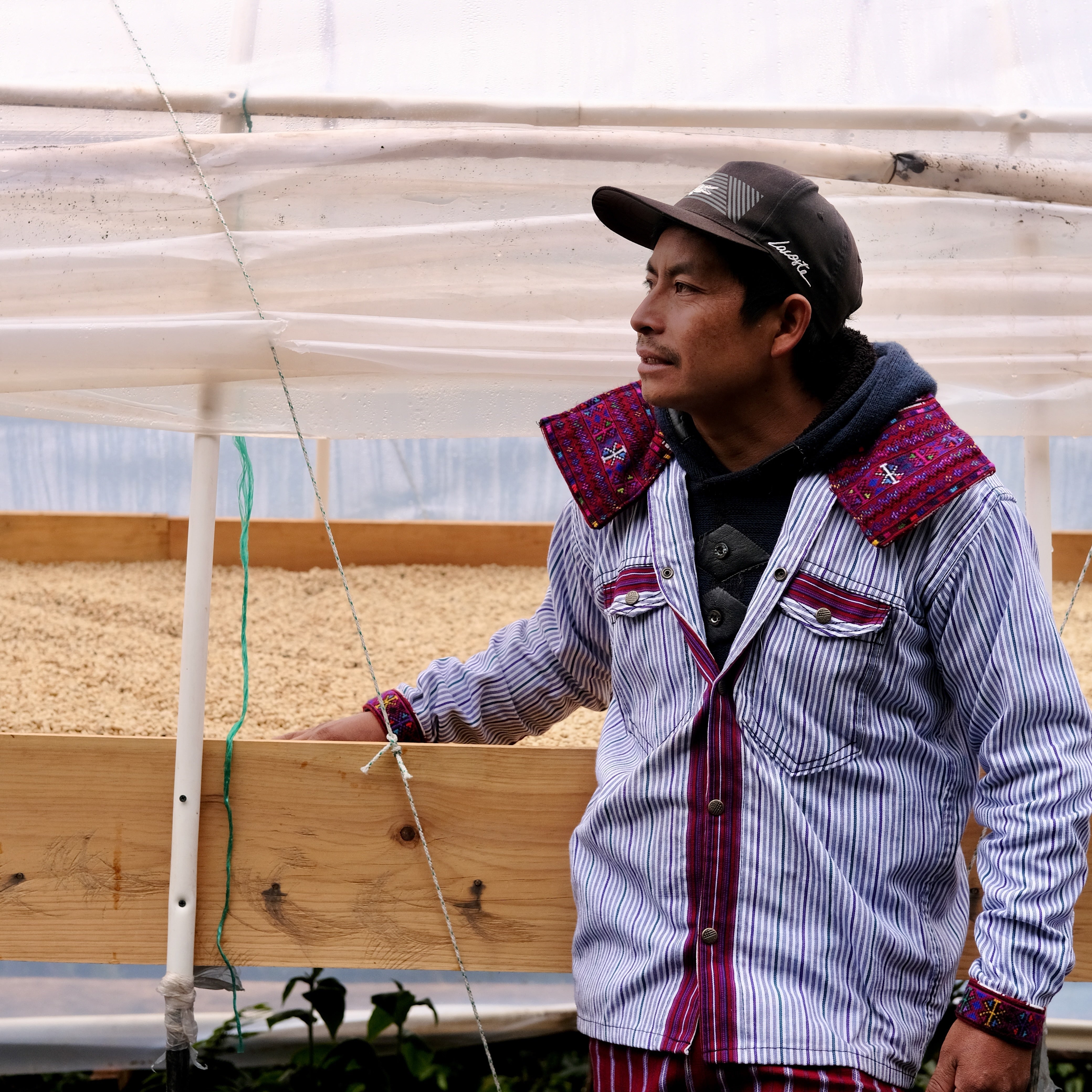 A Bet on the Future: Climate Change and Coffee Farming